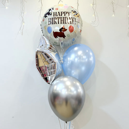 Pet Posh Party Set ( Cat/ Dog)